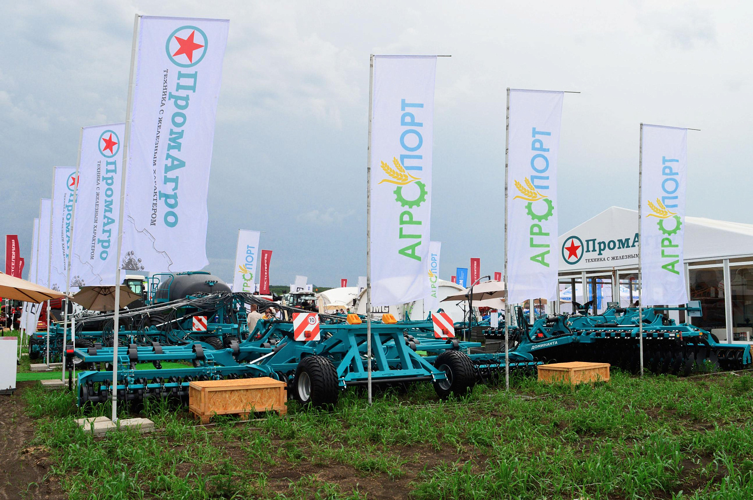 Всероссийский день поля 2024 Минеральные воды