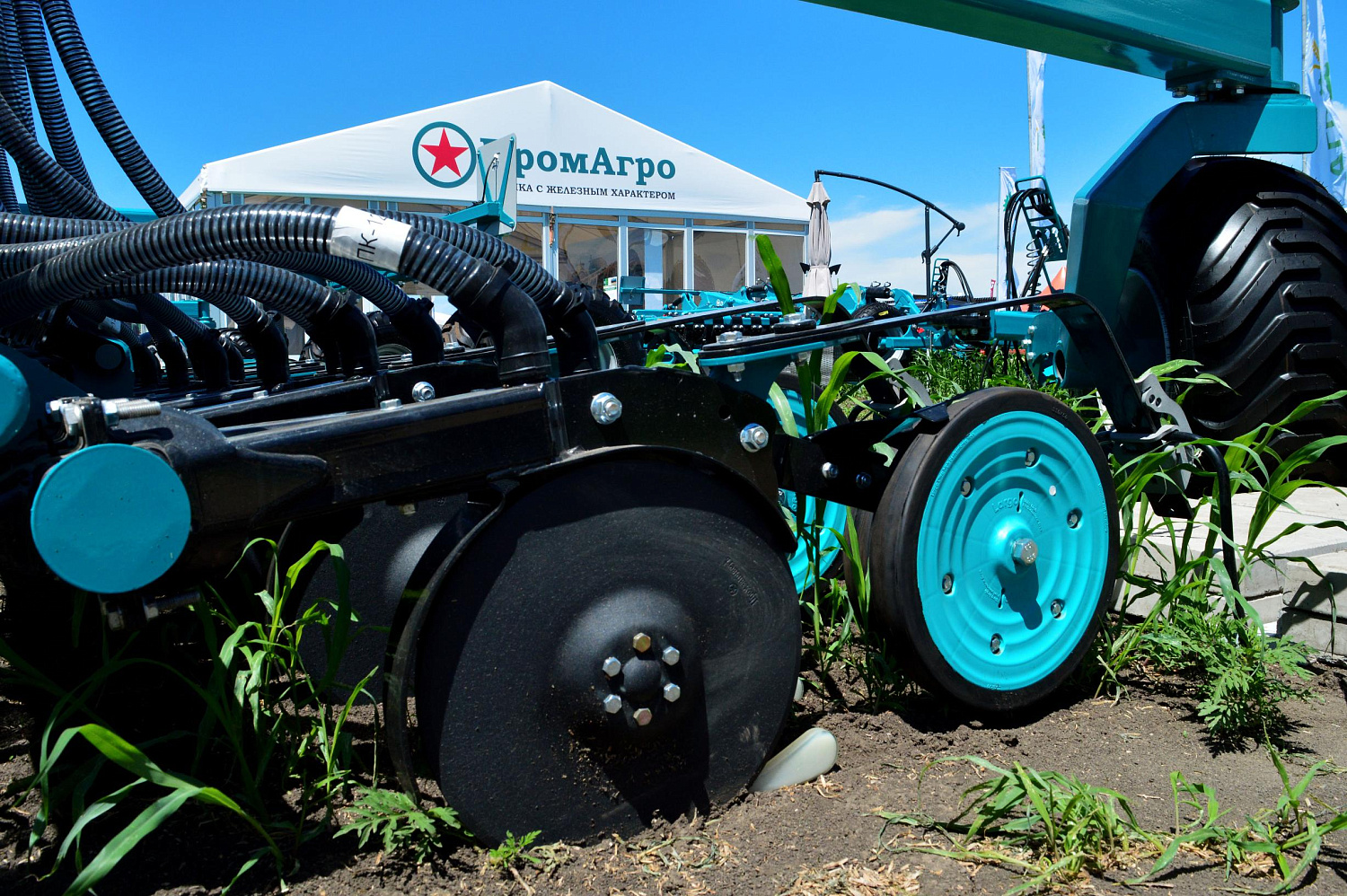 Всероссийский день поля 2024 Минеральные воды